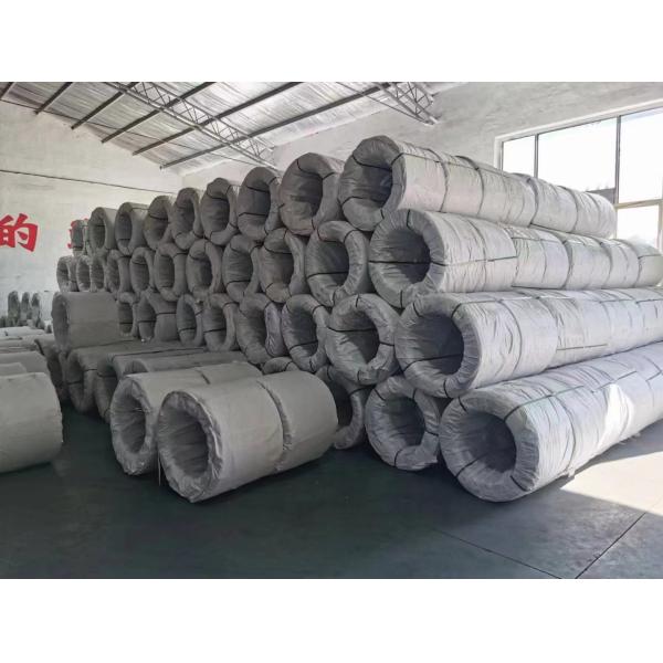 EN10147 / EN10142 / DIN 17162 / JIS G3302 Steel Wire Rod With Standard Sea Package