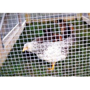 19 Gauge Welded Hot Dipped Galvanized Wire Mesh 25 ft Hardware Cloth For Chicken