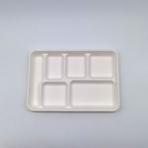 6 Compartment Disposable Plates Biodegradable Divided Rectangle Tray