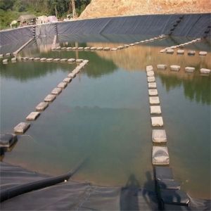HDPE Geomembrane Pond Liner Dam Liners Prices in Kenya for Environmental