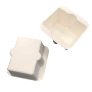 Thermoformed Sugarcane Pulp Packaging 3mm Thickness Shockproof