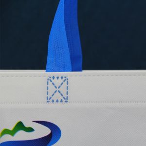 Shopping PP Biodegradable Non Woven Bag Shrink Resistant