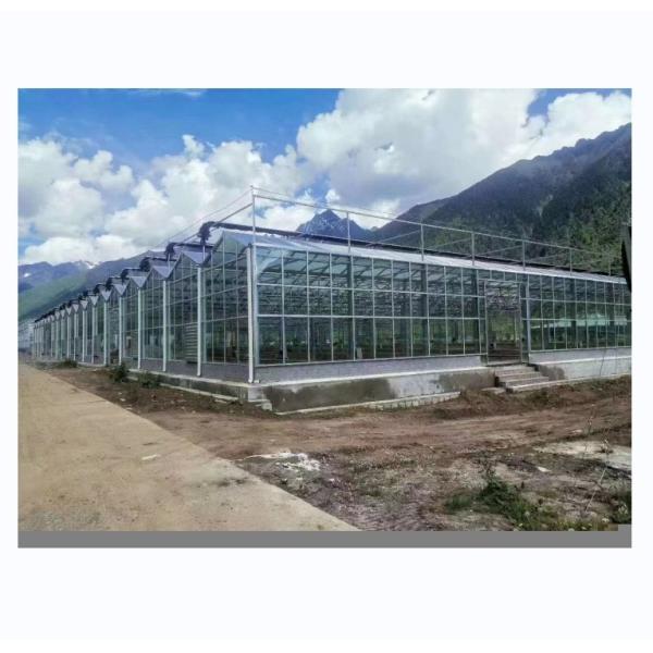 Quality 8m 9.6m 12m Span Width Multispan Greenhouse With Hydroponic System And Glass Structure wholesale