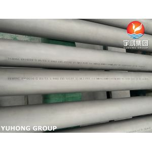 EN 10216-5 1.4462 UNS32205 Duplex Stainless Steel Seamless Pipe D3/T3 European