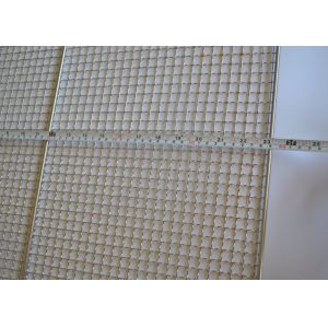 Custom Size SS304 SS316 Wire Mesh Baking Tray For Meat Roasting
