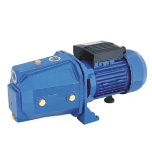 High Start Torque Garden Self Priming Jet Pump 0.75hp For Farm Using