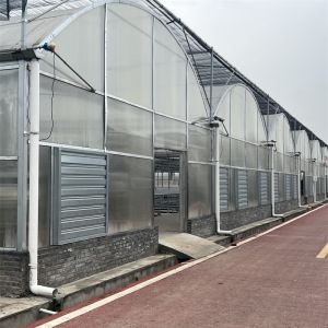 China Strong Structure Heavy Duty Plastic Greenhouse / Plastic Tomato Greenhouse on sale