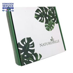 Packaging Box Custom Logo Wholesale Paperboard Custom Printed Recyclable Kraft