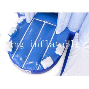 Kids Commercial Inflatable Frozen Bouncer Combo With Slide