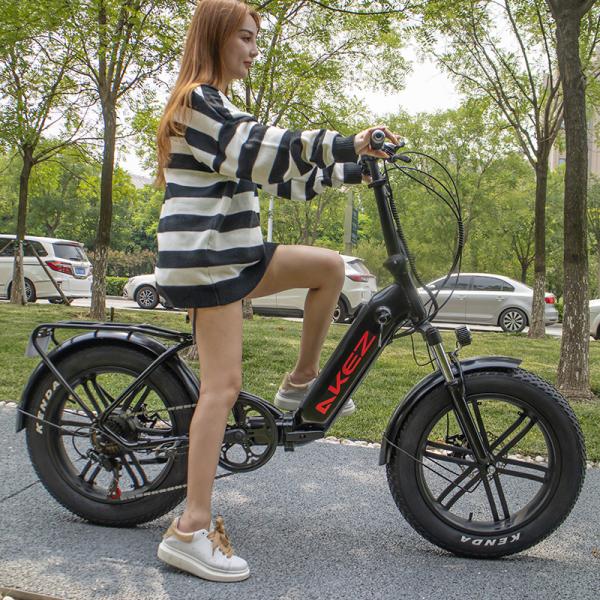 Quality High Speed Motor Magnesium Alloy Soft Tail Frame Lithium Battery Electric Bicycle wholesale