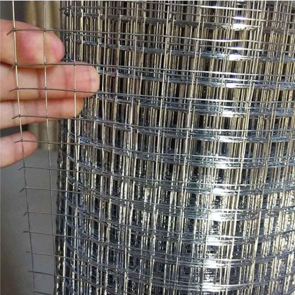 Bird Cage Welded Wire Mesh Panel Galvanized 1''×1'' 3/4''×3/4''Opening Size For Fence