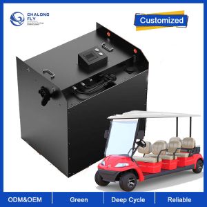 LiFePO4 Lithium Battery Golf Cart OEM ODM 48V 72V 300V 600V 180AH 400AH Lithium