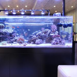 Custom Thick Cast Acrylic Sheet Panel for Large Aquarium Swimming Pool