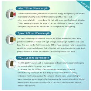 Portable 808nm laser diode price/alexandrite diode laser hair