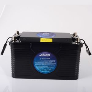 110Ah 24V Lithium Marine Battery IP67 Lithium Batteries For Off Grid Solar