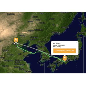 China Freight Forwarder Customs Clearance For EXW DDP DAP Services From Japan To China on sale