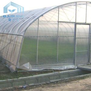 Cheap Hydroponic System Tunnel Plastic Greenhouse with Ventilation Insect Net for sale