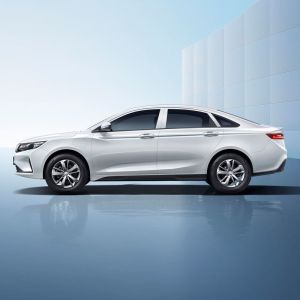 2024Hot sale EV Electric Vehicle Maple Leaf 60s 2022 modified easy version