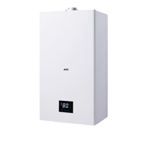 Variable Hot Water Capacity Wall Hung Gas Boiler With Balanced Flue Programmable