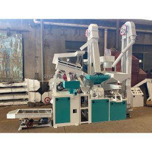 China Rice Milling Application Auto Mini Combined Milling Machinery with 600-1000kg/h Capacity on sale