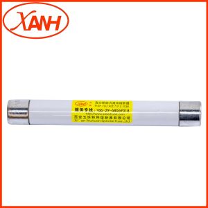 Insert Dual Element Time Delay Current Limiting Fuse 12Kv Fuse 1 Pole