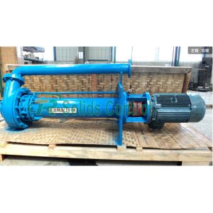 Cheap 1480r/Min Speed Solid Control Oilfield Submersible Slurry Pump for sale