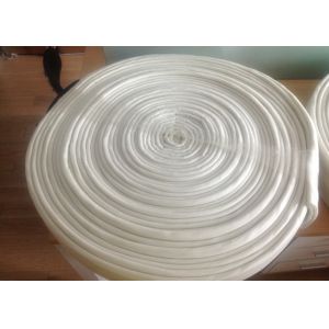 Needle Punched Felt Filter Coated With White Color TPU Membrane CIPP System