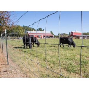 Electric Galvanized Iron 50m Length Wire Cattle Fencing For Livestocks