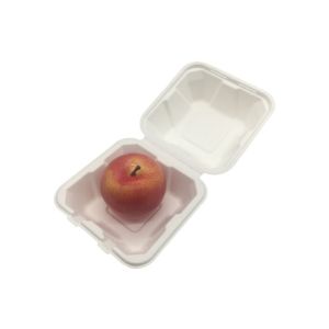 6 Inch Sugarcane Eco Hinged Biodegradable Takeout Containers