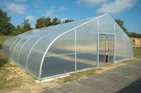 Vegetable Tunnel Plastic Film Greenhouse Single Span Hot Dip Galvanized