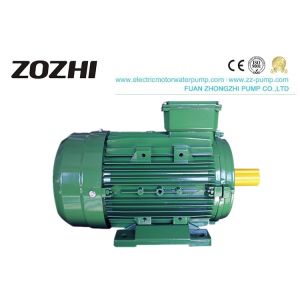 High Efficiency 3 Phase Induction Motor 0.75KW 1HP MS802-4 For General Drive
