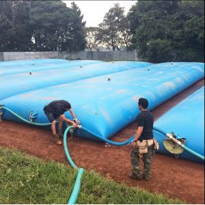 Cheap 30°C-70°C Biogas Digester Tank Utilizing Mechanical Mixing Method Eco-friendly System for Biogas Production and Waste Conversion for sale