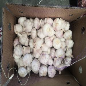 Pure White Natural Garlic Flavor Dedhyrated Garlic 4.5cm 6.0cm