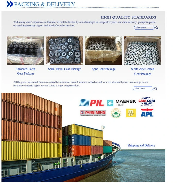 Spur Worm Helical Hypoid Bevel Pinion Gear for Industrial Usage