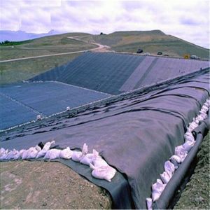 China Black Pond Liner 0.5mm HDPE Liner for Waste Purification Pond Style Modern Design on sale