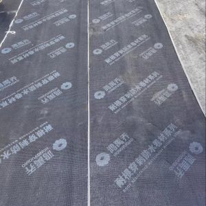 SBS Elastomeric Modified Bitumen Waterproofing Membrane 10m Length Puncture