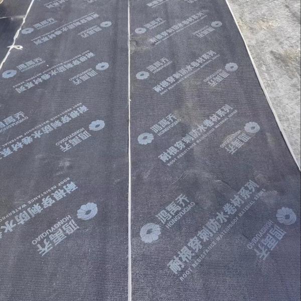 SBS Elastomeric Modified Bitumen Waterproofing Membrane 10m Length Puncture