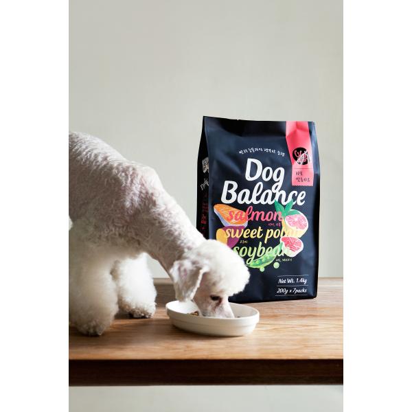 Gravnre Printing Pet Food Packaging Bag Custom Size Accepted