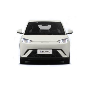 5 Seats BYD EV Car Power Saving with Etc. Interior Features Clean Energy