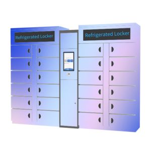 China Winnsen Cabinet Vegetable Refrigerated Locker Electronic Storage Smart Lockers on sale