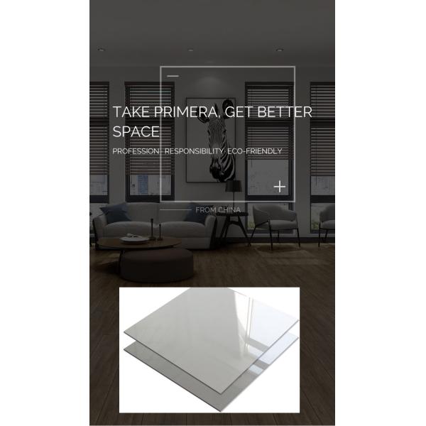 60x60cm Light Grey Polished Porcelain Floor Tile 9.5mm