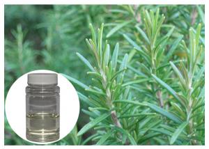China Colorless Rosemary Oil Extract , Fresh Smell Rosemary Essential Oil For Bath Product on sale