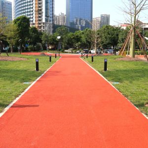 Public Running Track Epdm Jogging Track with Trackway Installation by Jogging