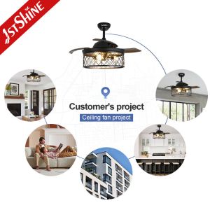 Customized Design 1stshine Ceiling Fan with Hidden Blades and LED Light in Black