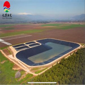 1.5mm Plastic HDPE Liner for Fish Farming and Landfill Waterproofing Width 2m-8m