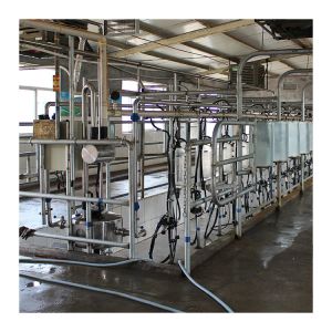 Cow 60 points Herringbone Milking Parlor Automatic Clean
