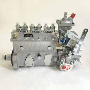 China 3973198 114KW Diesel Dongfeng 6bt Fuel Injection Pump on sale