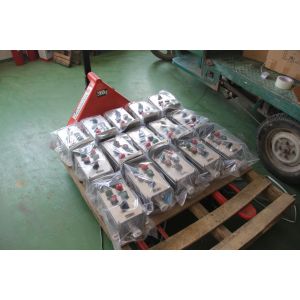 Hazardous Zone 1 2 21 22 Box Panel Explosion Proof IP66 WF2 Protection Level