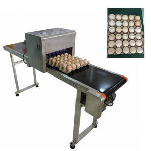 Cheap High - Definition Egg Jet Coding Machine Easy To Clean With Good Fade Resistance for sale