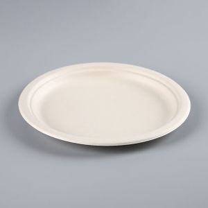 Hot Selling Fast Delivery platos desechables takeaway plateau disposable plates